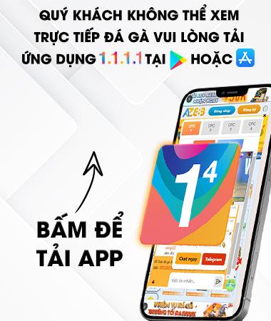 Trực Tiếp Đá Gà huongdan
